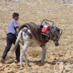 Mule transport of generator