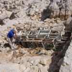 Excavated remains crane Dorner